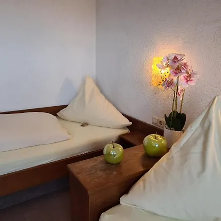 Doppelzimmer Bergblick Mit 2 Einzelbetten - Hauber * Herrischried