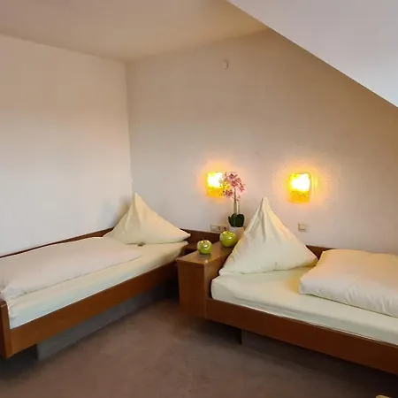 Doppelzimmer Bergblick Mit 2 Einzelbetten - Hauber Prázdninový dům