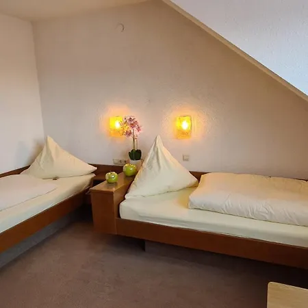 Casa vacanze Doppelzimmer Bergblick Mit 2 Einzelbetten - Hauber *